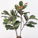 Foglie di gomma pianta artificiale magnolia piante artificiali decorazione desktop