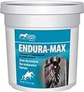 Kentucky Performance Endura-Max Electrolyte Supplement For Horses, 5 Pound