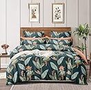 TIB The Intellect Bazaar Glace Cotton Zipper Duvet Cover with Elastic Fitted Bedsheet Queen Size and 2 Pillow Covers (4 Pcs Set 80x90 / 60x78) Leaves Green