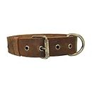 Hide & Drink, Rustic Thick Leather Bones Design Dog Collar for Medium Size Dog (12 to 21 Inches) Handmade Includes 101 Year Warranty :: Bourbon Brown