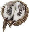 R H lifestyle Artificial Foam Feathered Mini Birds with Hay Nest & Eggs Ornaments, DIY Craft for Home Garden Lawn Decoration Party Accessories (9 x 7 x 5 cm) Pack of 1