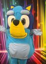 HIRE Bluey Lookalike Costume Mascot Fancy Dress FREE Delivery UK