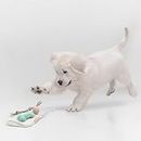 Pets and People Co. Puppy Discovery Delights - Toy Kit for Puppies