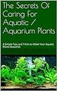 The Secrets Of Caring For Aquatic / Aquarium Plants: 4 Simple Tips and Tricks to Make Your Aquatic Plants Beautiful