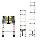 AGARO 2.9m (9.5 ft) Aluminium Telescopic Ladder, 10 Steps Foldable Ladder, EN131 Certified, Lightweight, Collapsible, Max Load up to 150 Kgs, 2.9 Meters, 9.5 ft Silver