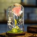 Smartcoco Beauty and The Beast LED Champagne Rose in a Glass Dome on a Wooden Base for Mother's Day Birthday Anniversary Valentines Best Gift