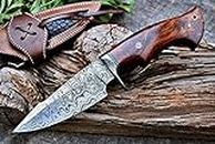 BIGCAT ROAR 25.4 cm Handmade Damascus Hunting Knife with Leather Sheath - Ideal for Skinning, Camping, Outdoor - EDC Fixed Blade Bushcraft Knife with Walnut Wood Handle - Predator Hunter