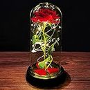Beauty and the Beast Rose Birthday Gifts for Women Enchanted Rose Red Silk Rose and Led Light in Glass Dome on Base Forever Rose Gifts for Mum Her Girlfriend Wife Valentines Mothers Day Anniversary
