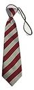 L&L® Striped School Kid Children Boys wedding event prom party plain necktie tie UK (Red/Silver)
