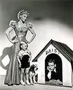 Blondie Penny Singleton As Blondie Larry Simms As Baby Dumpling Spooks As Pup Daisy Arthur Lake As Dagwood 1938. Photo Print (8 x 10)