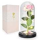 Lemospark Beauty and The Beast Rose Enchanted Flower with Petals in Glass Dome Personalized Gifts for Women Girlfriend Valentine’s Day Mother’s Day Christmas Anniversary Birthday (Pink)