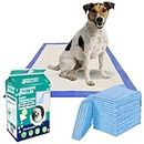 Discount Seller Small 100-Pack Disposable Puppy Training Pads 45x33cm, Super Absorbent and Multi Layered Leakproof Odour Locking Puppy Pads, Anti-slip and Quick Dry Dog Training Pads