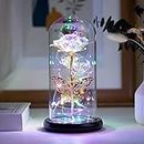 Crafttime Glass Preserved Eternal Rose, Birthday Gifts for Women, Artificial Colorful Rose with Led Light, Beauty and The Beast Dome, Mother's Day Birthday Gifts from Daughter（Mutil Color）