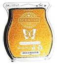 Scentsy "Vanilla Bean Buttercream Wax - Bar - Scent Melts - Produktbeschreibung Siehe unten