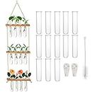 Elsjoy Set of 13 Wall Hanging Glass Planter Tube with Wooden Stand, 3 Tier Plant Terrarium Mini Test Tube Plant Propagation Station, Air Plant Containers for Home Office Garden Decor