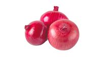 1000 Samen Rote Zwiebeln Red Savonese Garten Gemüse Zwiebel  Onion Vegetables