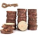Tosnail 60 Pack Natural Unfinished Wood Slices Wood Plaque Wood Board Wood Circles with Drilled Hole and Jute Twine String for Arts and Crafts, Christmas Ornaments Making, Wedding Party Decorations