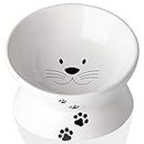 Cat Food Bowls, 10 OZ Elevated Cat Bowls for Cats and Small Dogs, Tilted Pet Feeder Bowl with Raised Stand Protect Cat's Spine, Ceramic Cat Water Bowl No-Spill, Stress Free Cat Dish 1pcs