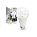 Touch of ECO Full Spectrum Led Grow Light Bulb For Indoor Plants, Gardens & Grow Tents - Fruits & Vegetables, in White | 5 H x 5 W x 1 D in | Wayfair