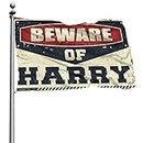 Décoration de dortoir amusante Beware of Harry Flag Western Home Decor Its A Boy Garden Flag (Taille : 30 x 45 cm)