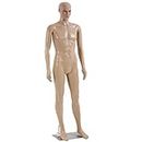 FDW Male Mannequin Torso Dress Form Mannequin Body 73 Inches Adjustable Mannequin Dress Model Full Body Plastic Detachable Mannequin Stand Realistic Display Mannequin Head Metal Base (73 in)