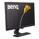 BenQ GL2480 24 Inch 1080p 1 ms 75 Hz LED Eye-Care Gaming Monitor, Anti-Glare, HDMI, Black