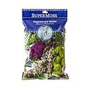 SuperMoss (23310) Moss Mix Preserved, 2oz (110 Cubic Inch)