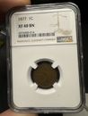 1877  NGC XF 40 Indian Head Cent Penny