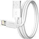 Overtime iPhone Charger Cable 4 Foot, Apple MFi Certified USB to Lightning Cable, 4ft USB Cord for iPhone 14/13/12/11/Pro/Max/Mini/SE/XR/XS/X/8/7/Plus/6/6S, iPad/iPad Air 2/Mini