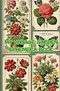 My Vintage Garden Ephemera Book: Beautiful illustrations throughout for use in junk journals, scrapbooks, collages, decoupage and other paper crafts and projects