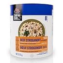 Mountain House Beef Stroganoff with Noodles | Freeze Dried Survival & Emergency Food | #10 Can