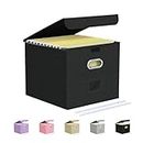 Oterri File Organizer Box,File Box,Small File Cabinet for Letter Folders,Black Portable Filing Box,Collapsible File Organizer Box for Office/Decor/Home-1 Pack - without Folders