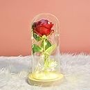 Rose Beauty And The Beast Kit,Eterna Rose Luce a LED Kit di Elegante Rose in Cupola di Vetro Seta Romantica Rose per Festa Anniversario Matrimonio