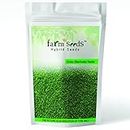 Farm Seeds Bermuda Grass - (2KG Pack)
