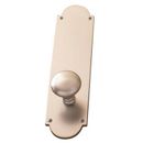 BRASS Accents Palladian Privacy Door Knob Brass in Gray | 12 H x 3 W x 2.38 D in | Wayfair D07-K024G-NET-619