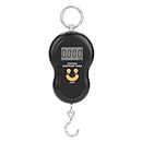 Portable LCD Display Digital Fishing Hanging Scale Electric Fishing Weighing Scale for Fishing Postal Parcel Kitchen Home (Black) Fishing Tools and Accessories