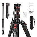 SmallRig T-10 Camera Tripod, 68" Foldable Aluminum Tripod & Monopod, Compatible with 1/4"-20 and 3/8"-16 Video Head, Payload 33lb, Adjustable Height from 19.7" to 67.7" for Camera, Phone - 3983