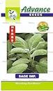 JD AGRO Premium Sage Herb Seeds - Organic Culinary Sage Seeds for Your Garden (25 Seeds)