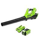 Greenworks Cordless Leaf Blower with Cruise Control, Lightweight Axial Leaf Blower 177km/h 11.05m3/min, 40V 2Ah Battery & Charger, Electric Leaf Blower Cordless Garden Blower, 3 Year Guarantee G40ABK2