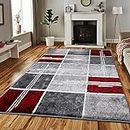 PHP Super Soft Rugs for Living Room Bedroom Rug - Thick Dense Pile Non Shed Fluffy Rug For Bedroom - Small Medium Large Carpet Area Rugs Kitchen Floor Mat (200 x 290 cm (6ft 8" x 9ft 7"), Red)