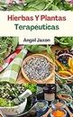 Hierbas Y Plantas Terapéuticas: Los usos efectivos de las hierbas secas para la curación, la belleza y la salud naturales (Spanish Edition)