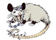 MR3Graphics Magnet Daisy Chain Opossum Possum Yaaaas! Magnetic Car Sticker Decal Bumper Magnet Vinyl 5"