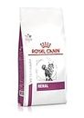 Royal Canin Veterinary Diet Cat Renal Nourriture pour Chat
