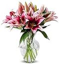BENCHMARK BOUQUETS - 8 stem Stargazer Lilies (Glass Vase Included), Prime Next-Day Delivery, Gift Mother’s Day Fresh Flowers