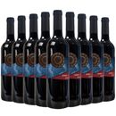 12x750ml - SA Taurus Shiraz 2019 Red Wine South Australia Vineyards