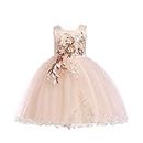 Baby Girl Princess Bridesmaid Pageant Gown Birthday Party Wedding Dress Sleeveless Party Dresses Girl Clothes(Champagne,110)