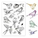 ORIGACH Realistic Birds Clear Stamps TPR Transparent Stamps with Acrylic Stamping Block for Card Making Decoration and DIY Scrapbooking