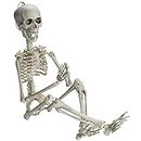 Prextex 48cm Poseable Skeleton Halloween Decoration | Plastic Skeleton for Indoor or Outdoor Garden Halloween Decorations, Scary Halloween Decor for Haunted Houses and Halloween Parties (48cm/19in)