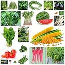 AZIZ GAZI NURSERY - Garden Seed Combo Vegetable and Fruit Seeds | Perfect for Home Gardening | Planting For Pots and Patio (Multicolor, 22 Variety 2500 + Seeds)