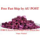 FORUN Premium Freeze Dried Red Dragon Fruit (Pitaya) Dice - Strong Flavour Taste